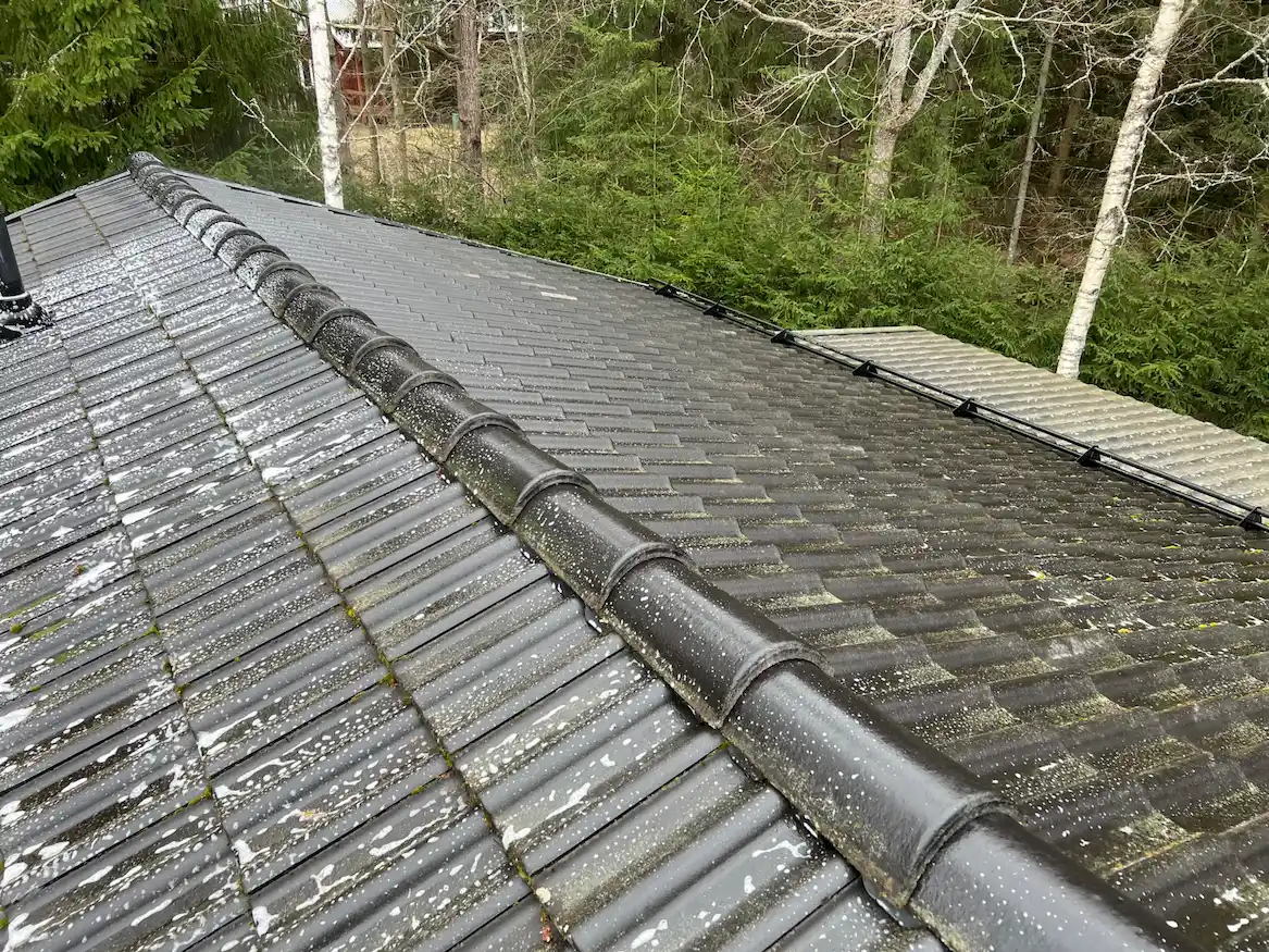 Katolle levitetty torjunta-aine