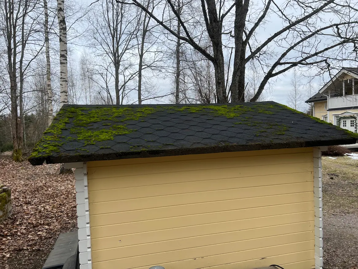 Piharakennuksien kattojen käsittely