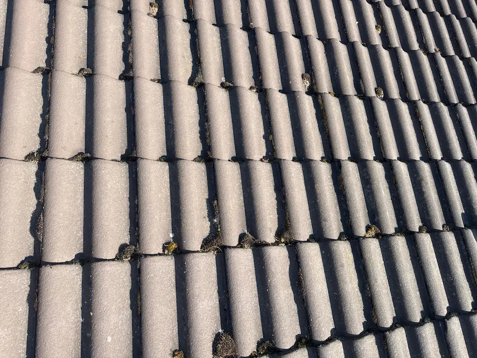 Tiilikatonpuhdistusjakäsittely ennen1