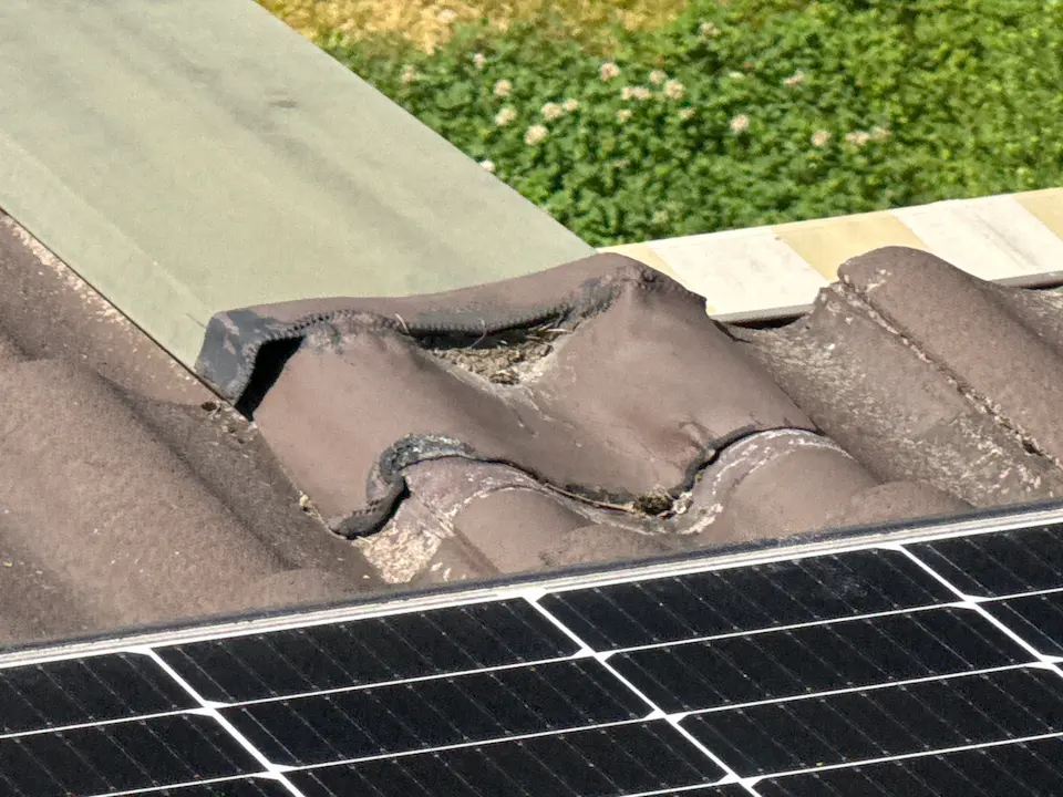 Vedenohjauslevyennen